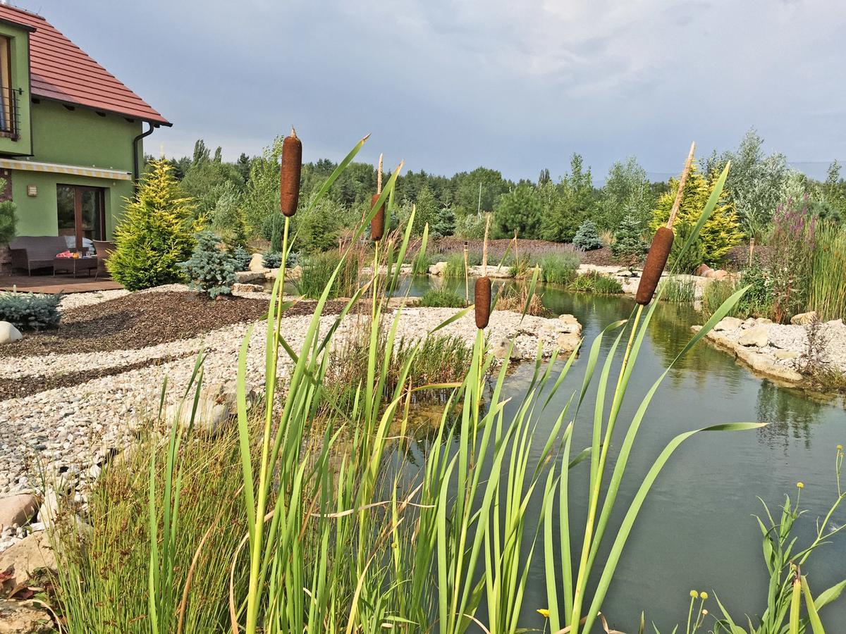 Lake View Apartments Near Golf Resort Kuneticka Hora, Dritec 帕尔杜比采 外观 照片